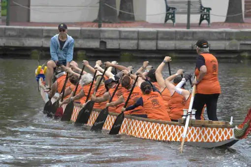Cape Town Dragon Boat Association - Team Building