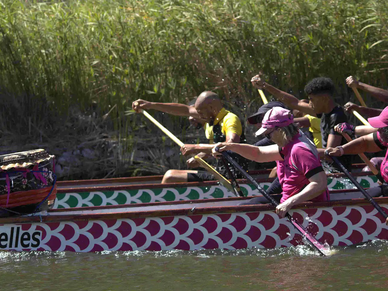 Dragon Boat Racing in Century City
