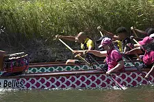Dragon Boat Racing