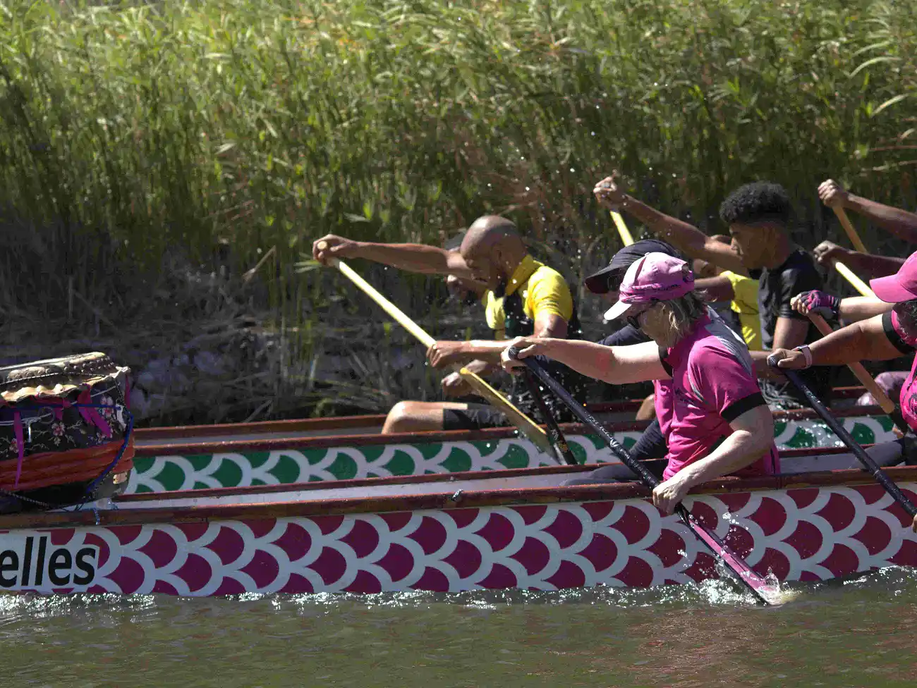 Dragon Boat Racing in Century City