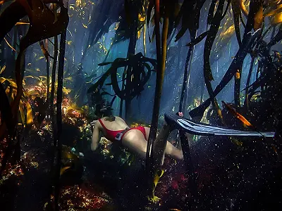 Cape Town Freediving - Snorkeling