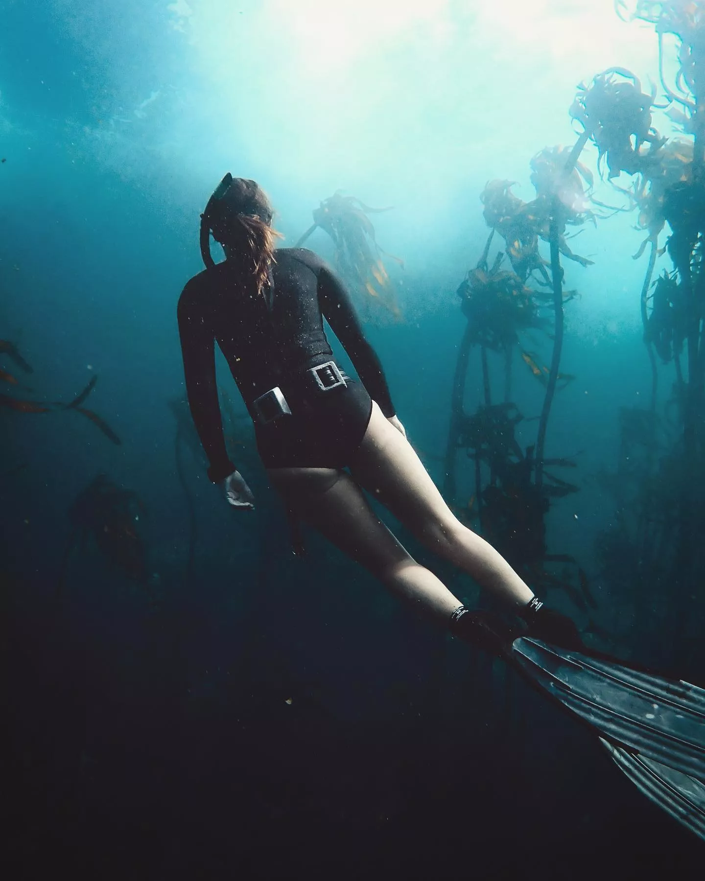 Learn to Free Dive with Cape Town Freediving