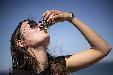 Cape Town Helicopters - Helicopter Flights