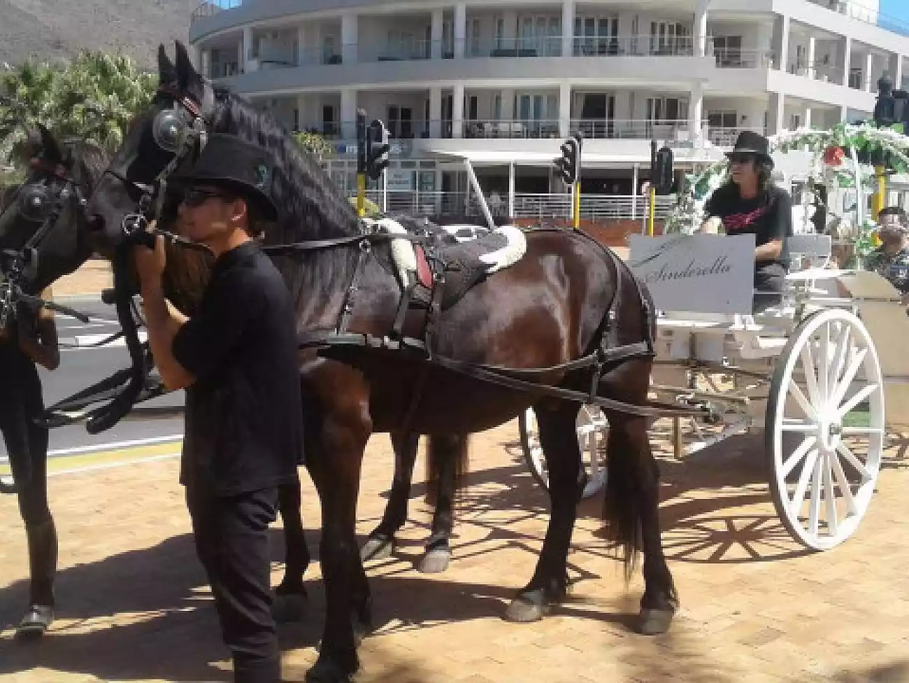 Carriage Rides in Cape Town