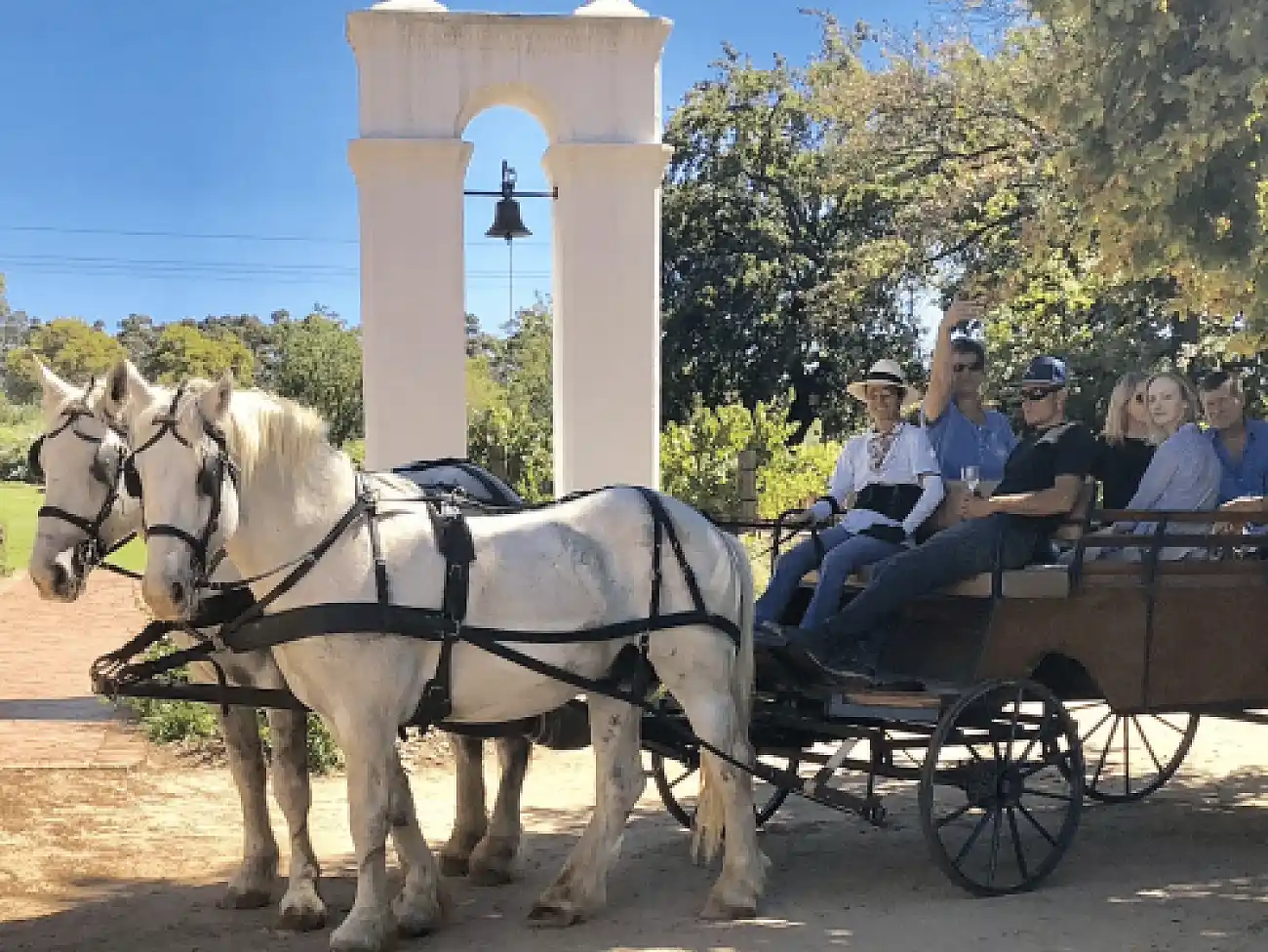 Carriage rides in Paarl