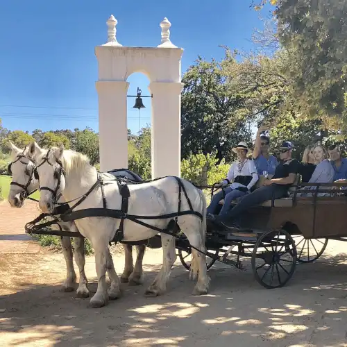 Carriage Rides