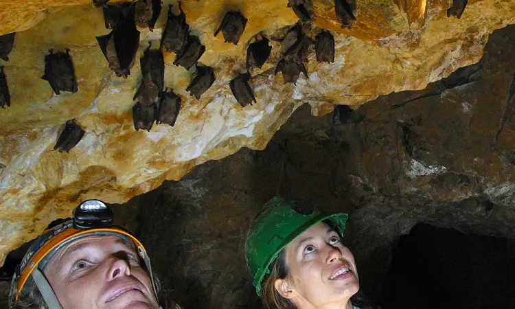 Caving Swazi Trails 3