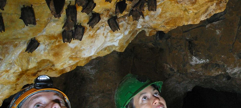Caving Swazi Trails 3