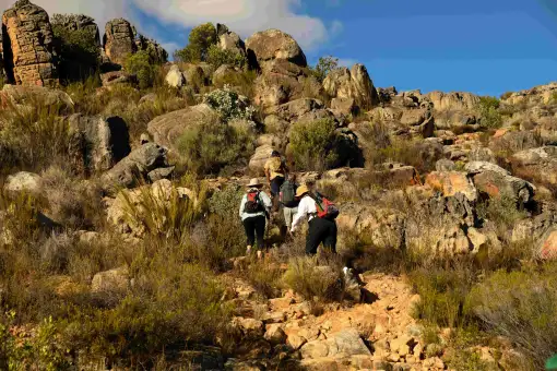 Wupperthal Cedar Trail - Slackpacking