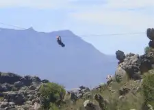 Zip Line