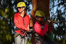 Team Building