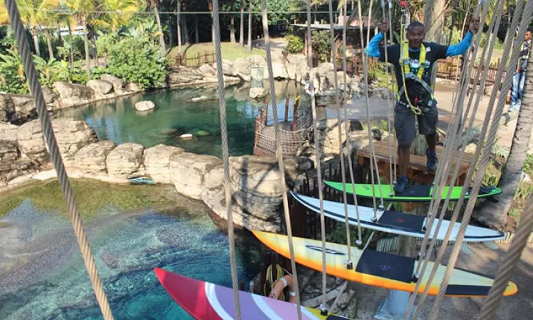 Chimp & Zee - uShaka Marine World - Rope Course