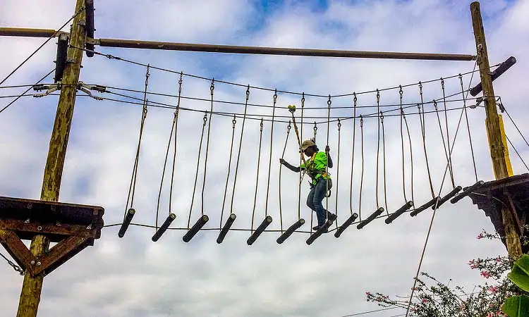 Chimp & Zee - Mac Banana - Rope Course