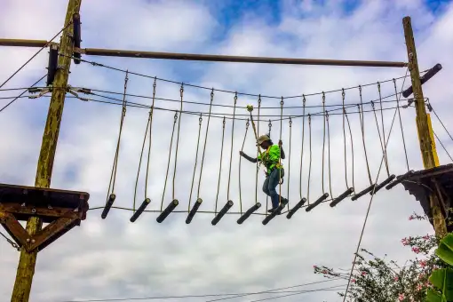 Chimp & Zee - Mac Banana - Rope Course