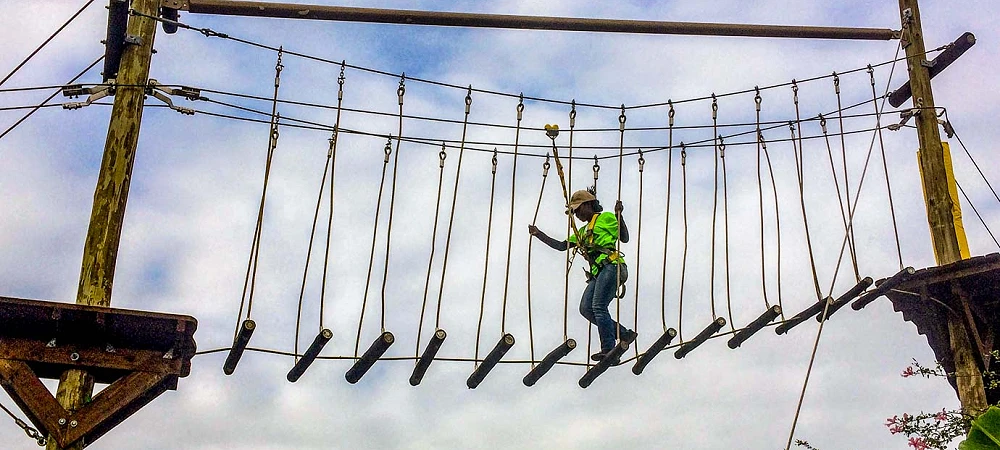 Chimp & Zee - Mac Banana - Rope Course