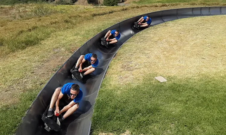 Cool-Runnings - Tobogganing