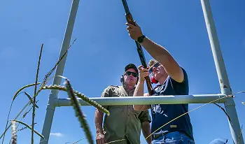 Clay Pigeon Shooting