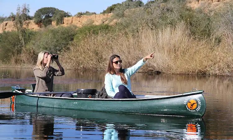 Crisscross Adventures - Addo River Safari - Canoeing