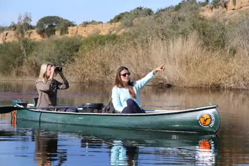 Crisscross Adventures - Addo River Safari - Canoeing