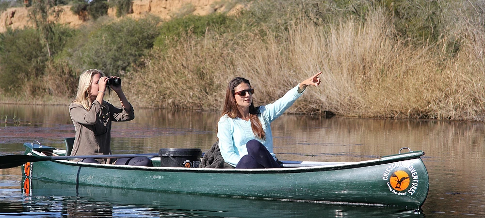 Crisscross Adventures - Addo River Safari - Canoeing