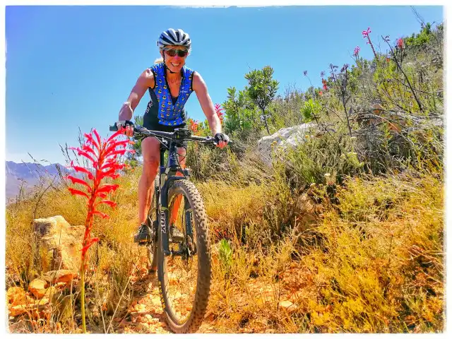 Cycle Tours