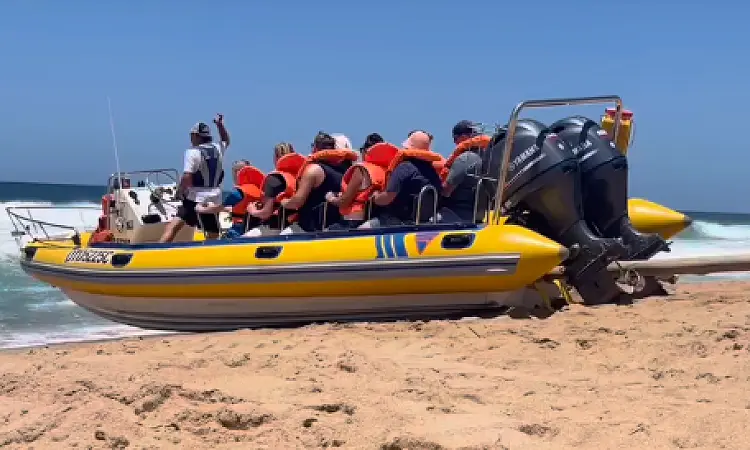 Boat Trips with DCA on the Dolphin Coast 3