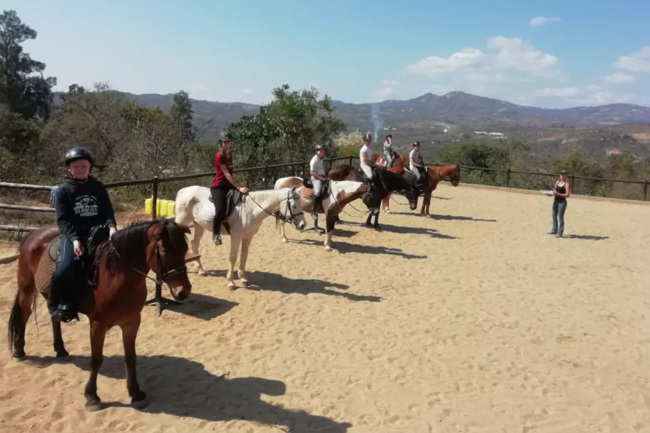 Horse Riding