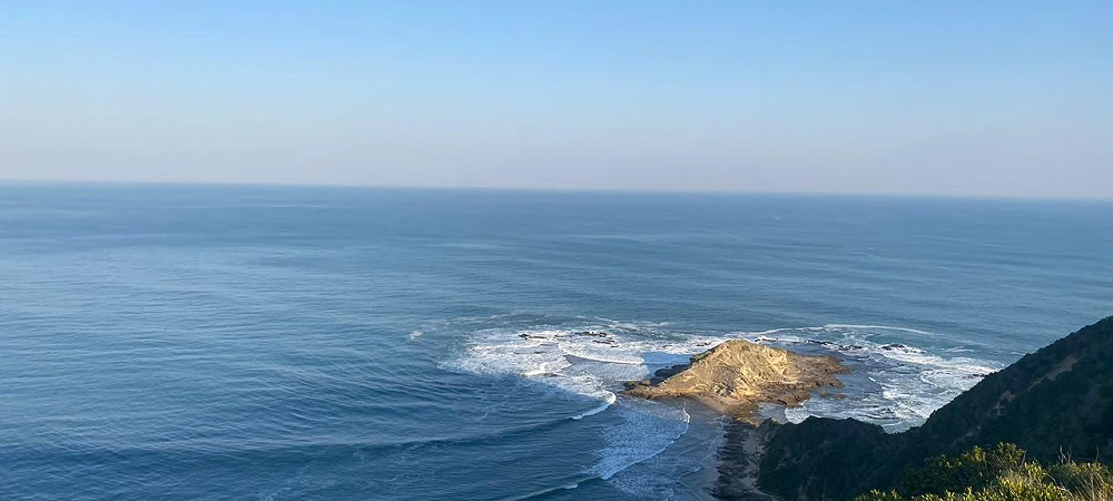 Panoramic view of the coastline from a fynbos hiking trail