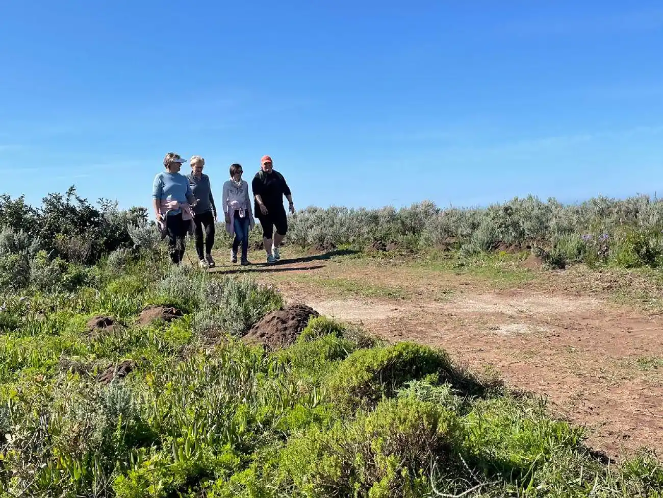 Guided Walking Tours on the Garden Route