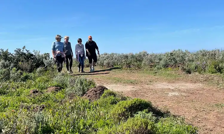 Hikers walking along a marked fynbos trail with ocean views
