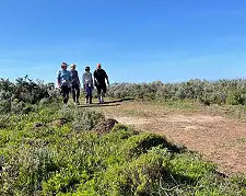 Guided walking Tours