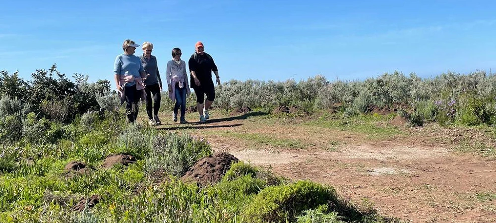 Hikers walking along a marked fynbos trail with ocean views