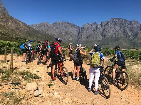 Day Trippers - Mountain Biking