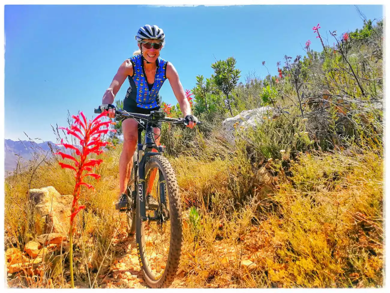 Cycle Tours in False Bay