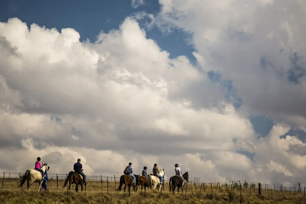Horse Riding