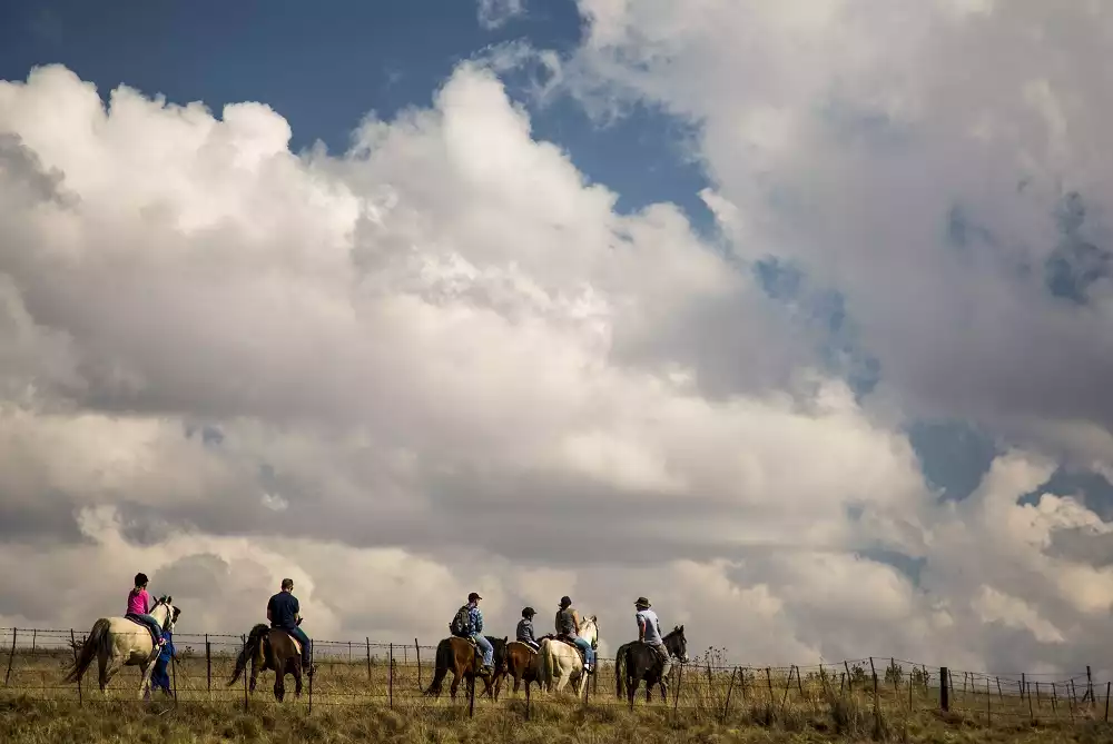 Horse Riding