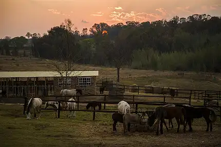 De Hoop Adventures - Horse Riding