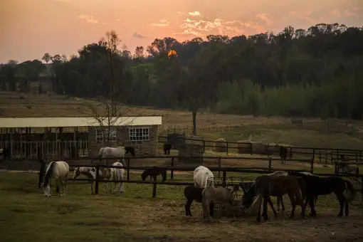 De Hoop Adventures - Horse Riding