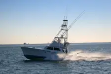 Deep Sea Fishing
