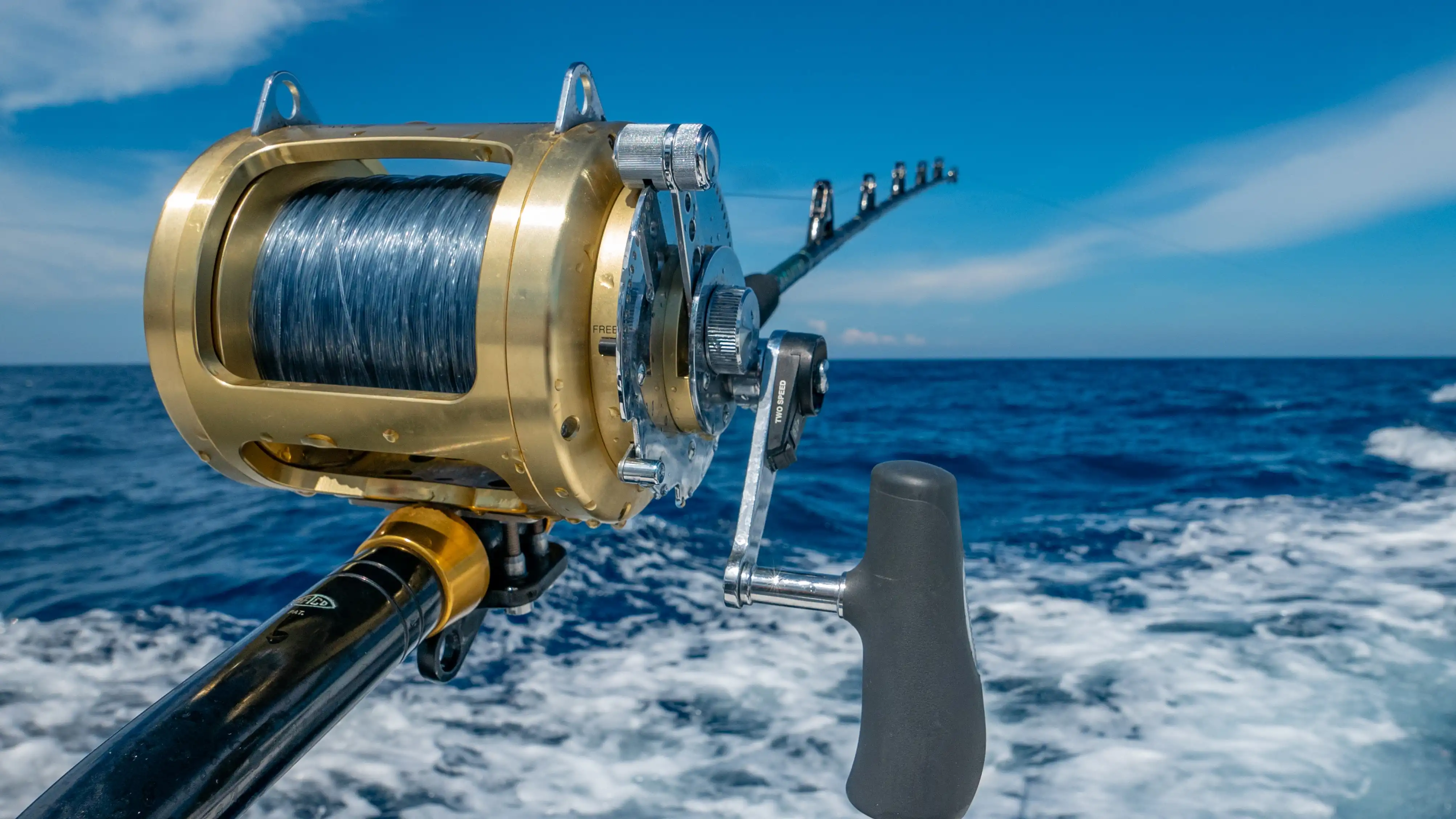 Deep Sea Fishing