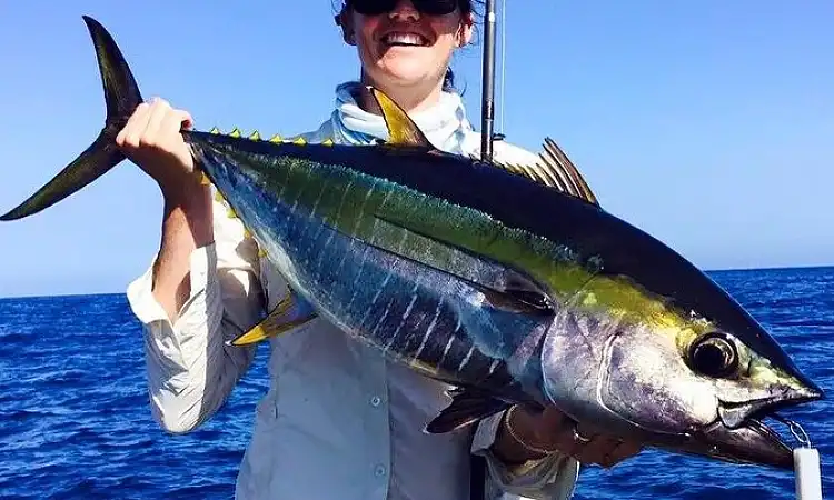 Plett Fishing Charters - Deep Sea Fishing