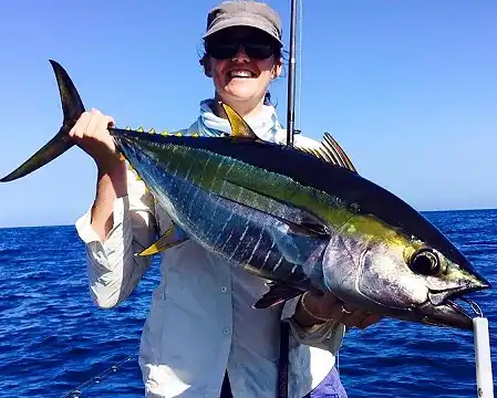 Plett Fishing Charters - Deep Sea Fishing