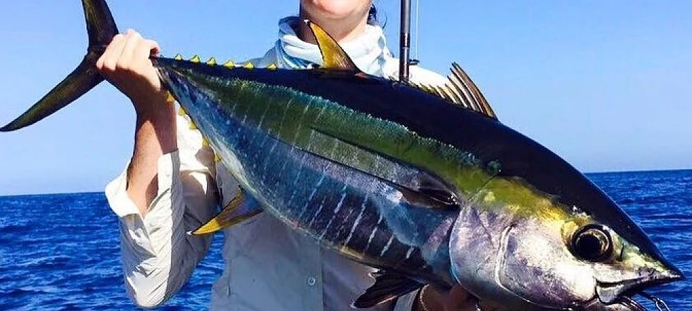 Plett Fishing Charters - Deep Sea Fishing