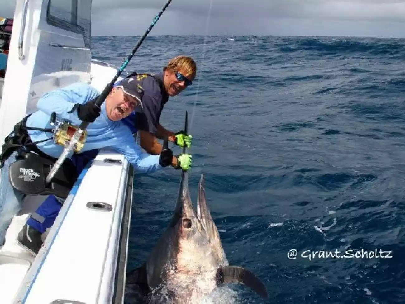 Deep Sea Fishing in Cape Town