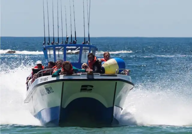 Deep Sea Fishing