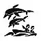 Dolphin Watching Tours