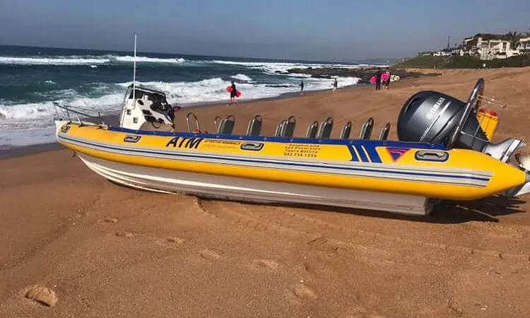 Boat Trips with DCA on the Dolphin Coast 2