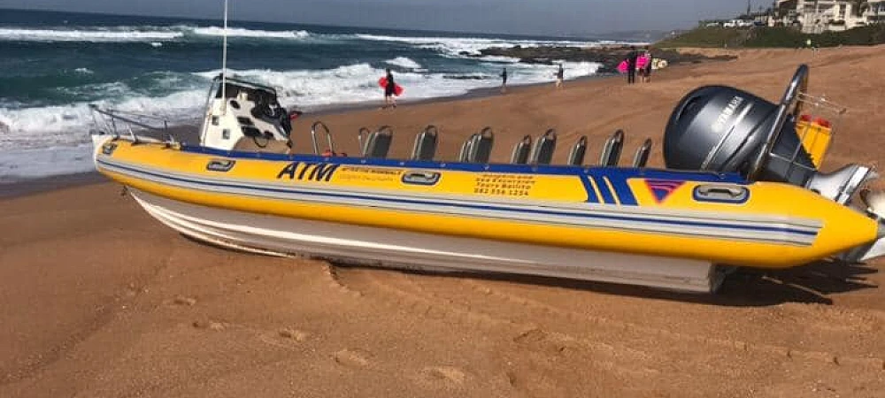 Boat Trips with DCA on the Dolphin Coast 2
