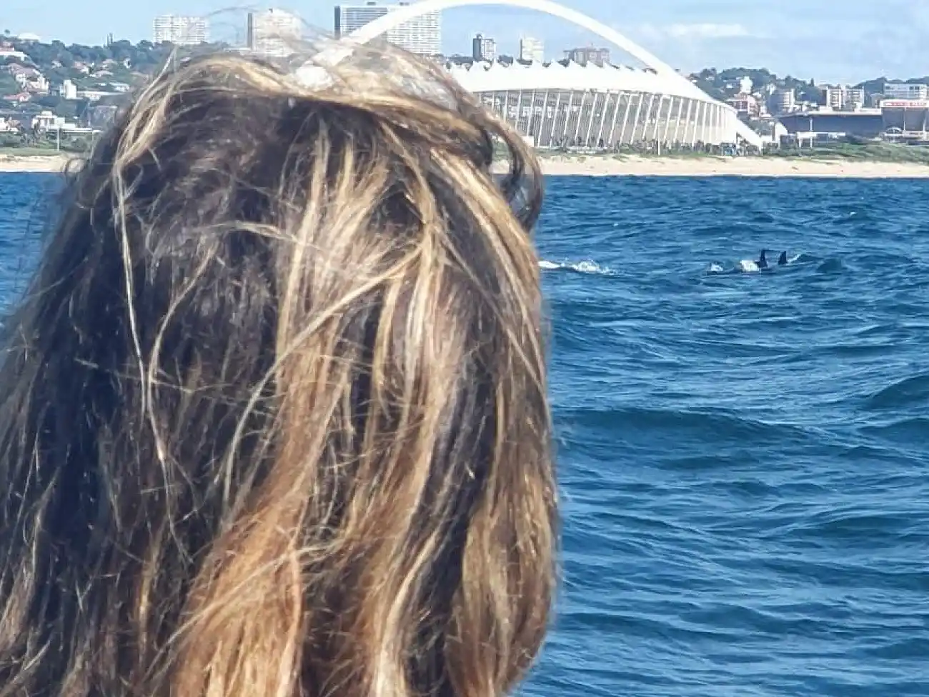 Dolphin Watching Tours in Durban