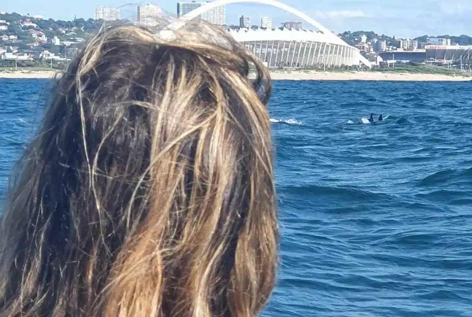 Dolphin Watching Tours